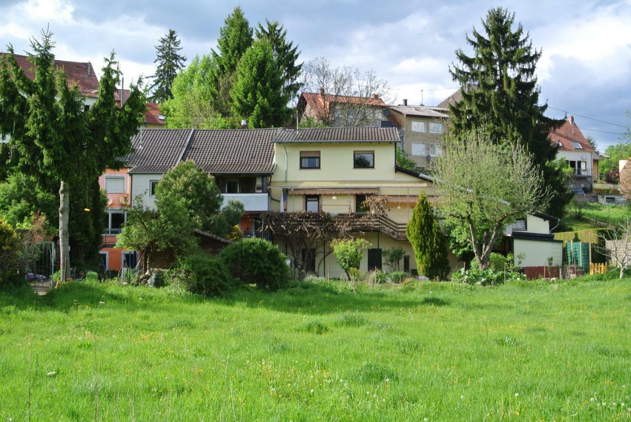 Ferienwohnung zur Mühle Sotzweiler Exterior foto