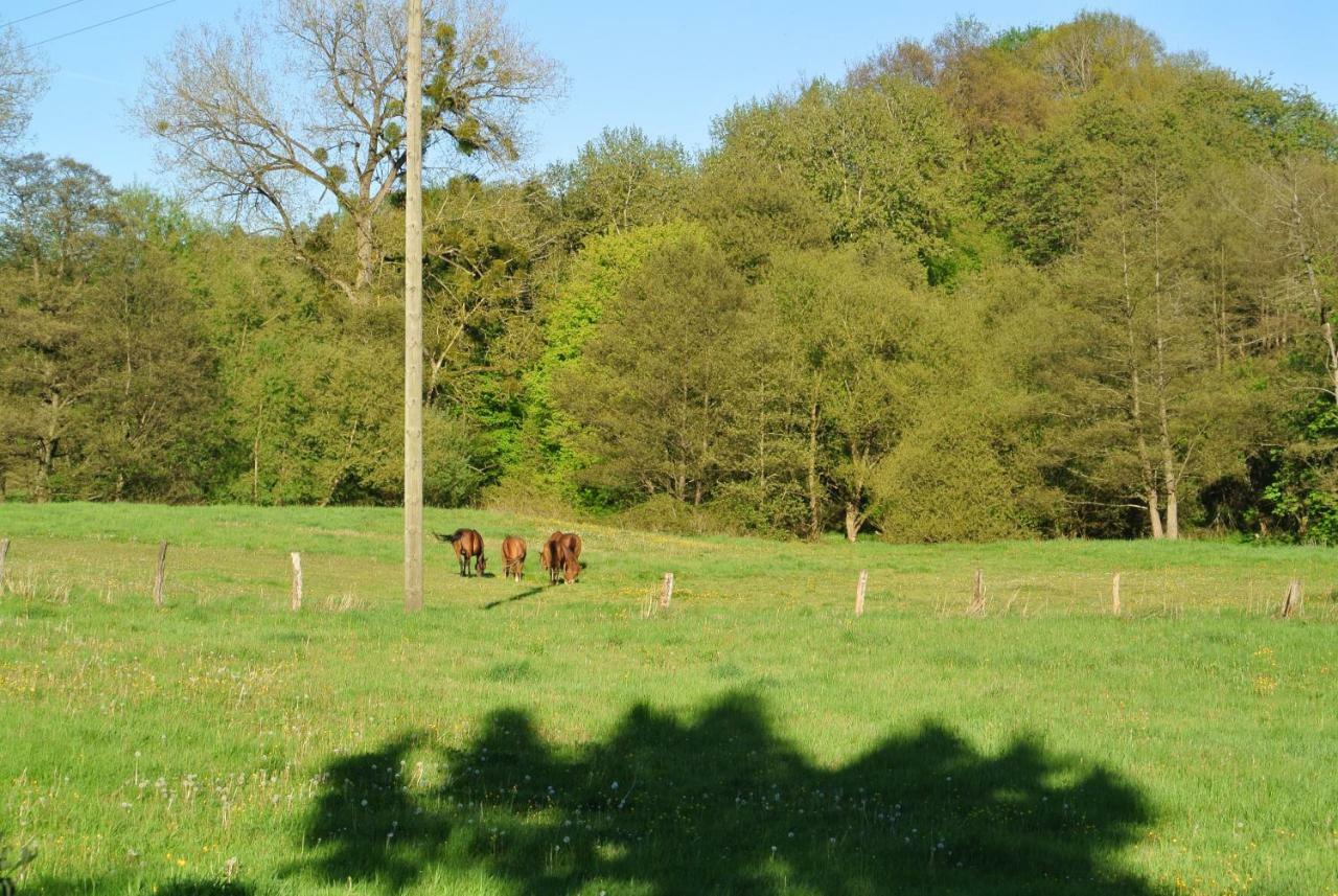 Ferienwohnung zur Mühle Sotzweiler Exterior foto